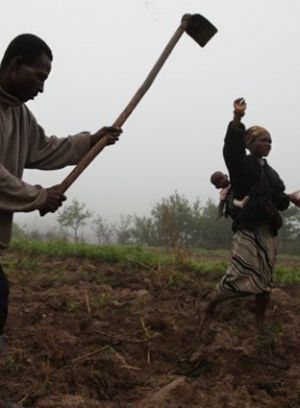 Agricultura_18.jpg